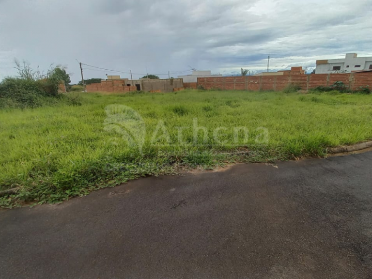 Terreno – Vila Barroso – Altinópolis/SP – Frente sol da manhã – 300m2