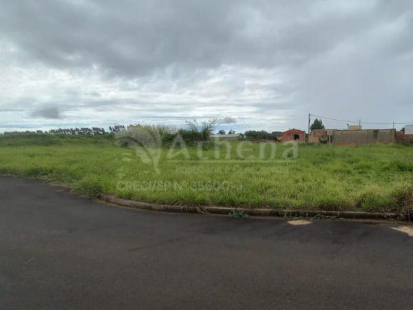 Terreno – Vila Barroso – Altinópolis/SP – Frente sol da manhã – 300m2