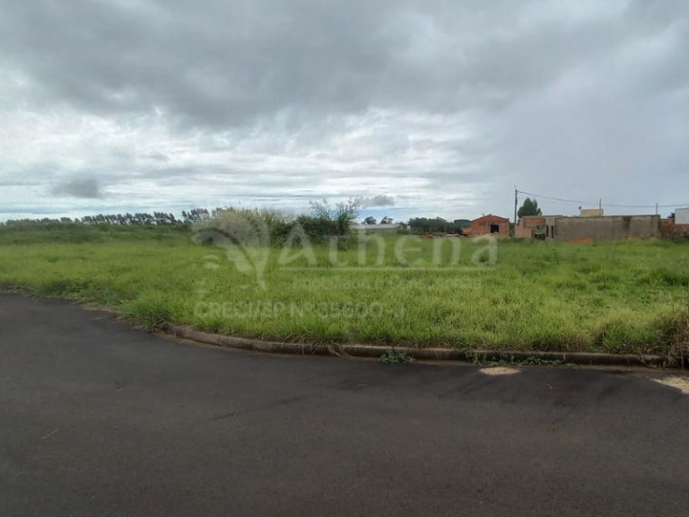Terreno – Vila Barroso – Altinópolis/SP – Frente sol da manhã – 300m2